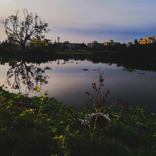The another Side  of the Nature