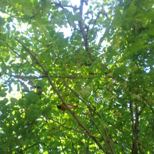 Photo #3263087