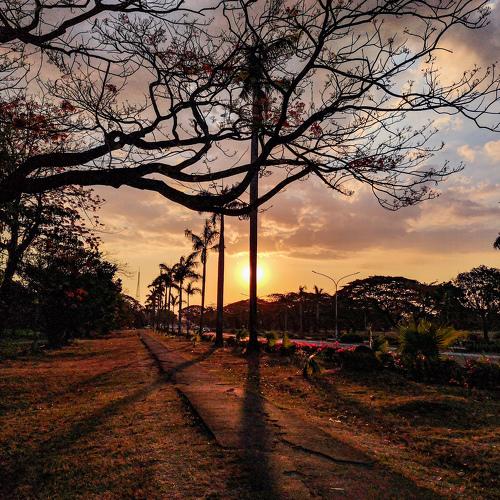 Beautiful Sunset