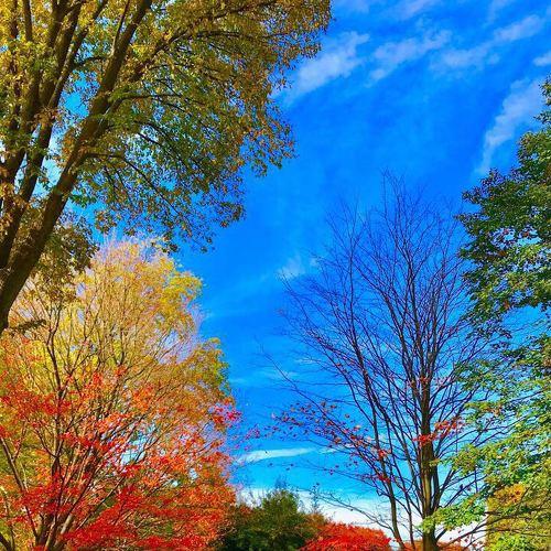 Garden way in Washington