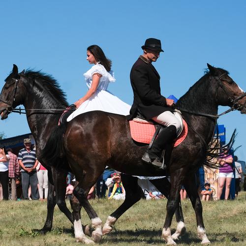 Photo #3264439