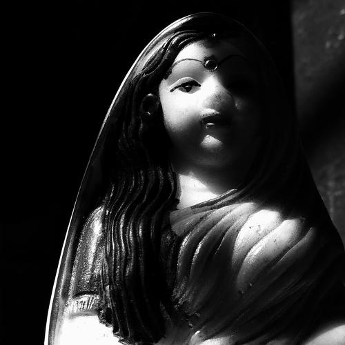 Photo #3265610