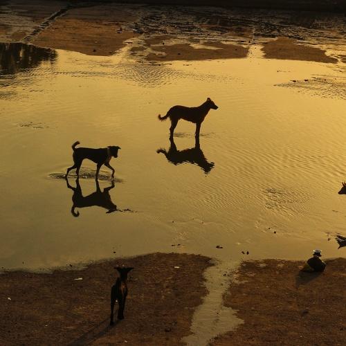 Stories of reflection