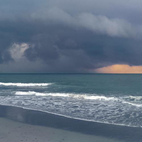 The Beach
