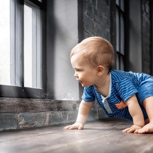 Photo #3266425