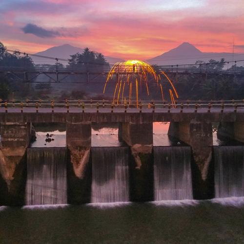 Photo #3267934