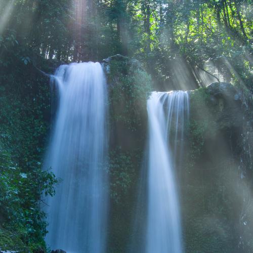 Photo #3267936