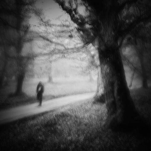 Alone