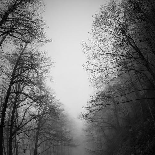 foggy