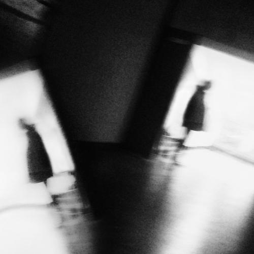 Photo #3269412