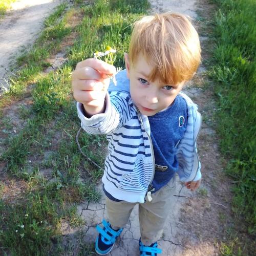 Photo #3270025