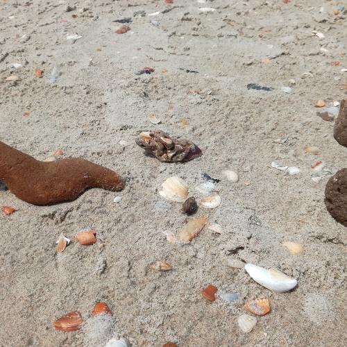 Photo #3270035