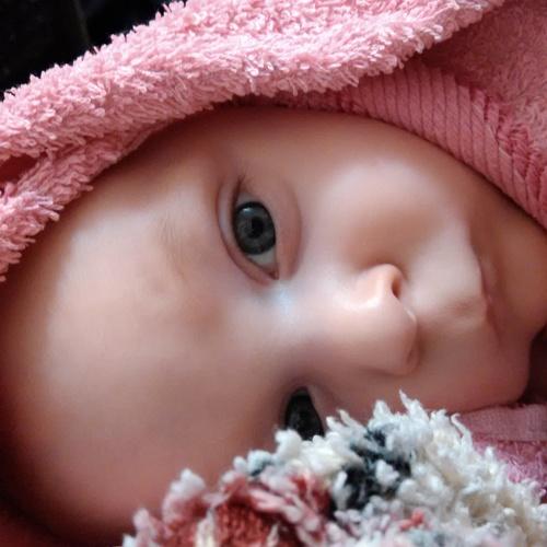 Photo #3270053
