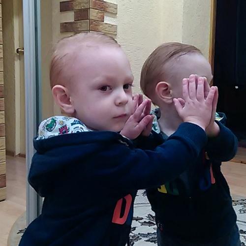 Photo #3270083