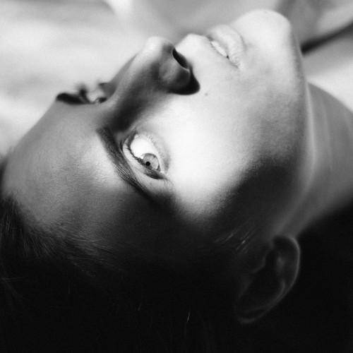 Photo #3270133