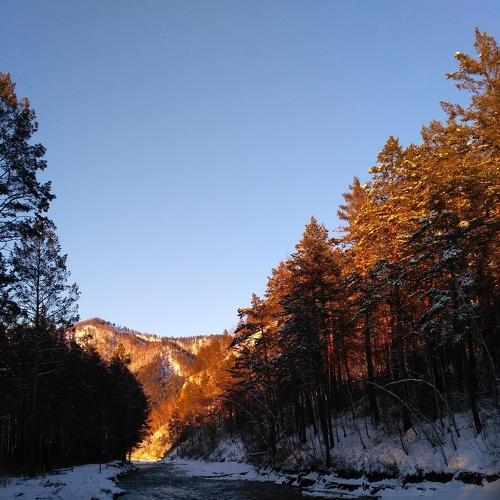 Photo #3270566