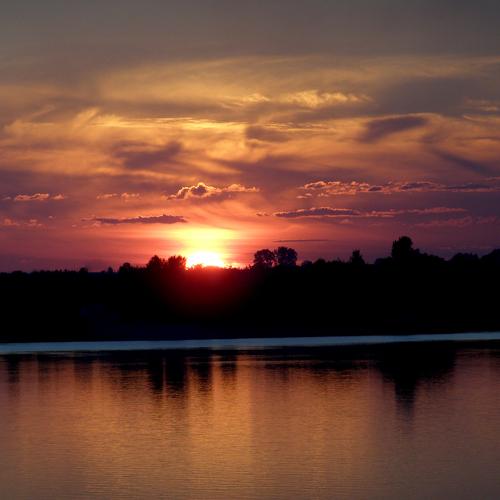Photo #3271029