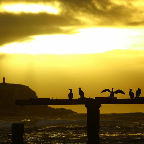 Sunset in family