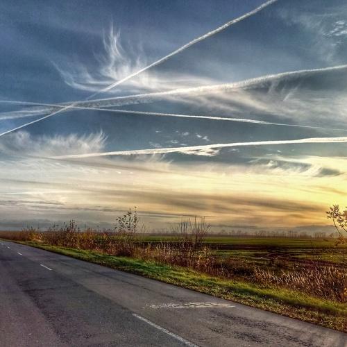 Photo #3273598