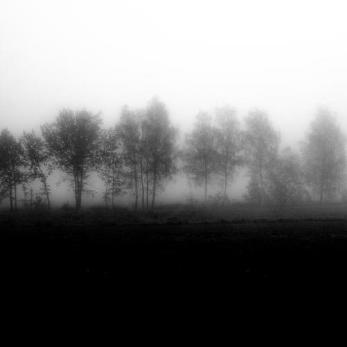 Distance