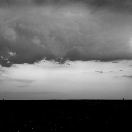 Nature in black n white