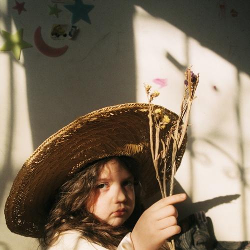 Photo #3274188