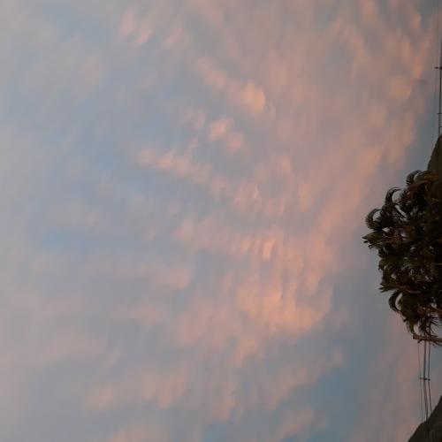 A mão da Natureza