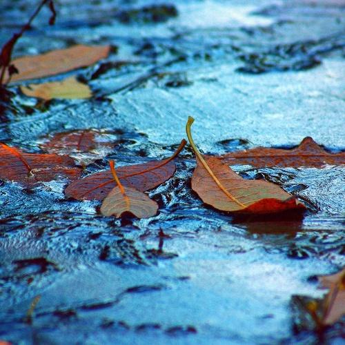 November.  Ноябрь.