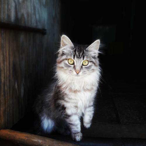 Photo #3274513