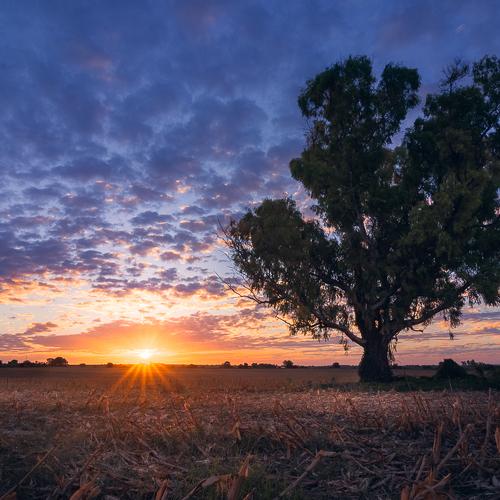 Sunset en campo de entre rios