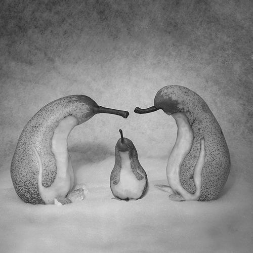 Photo #3274811