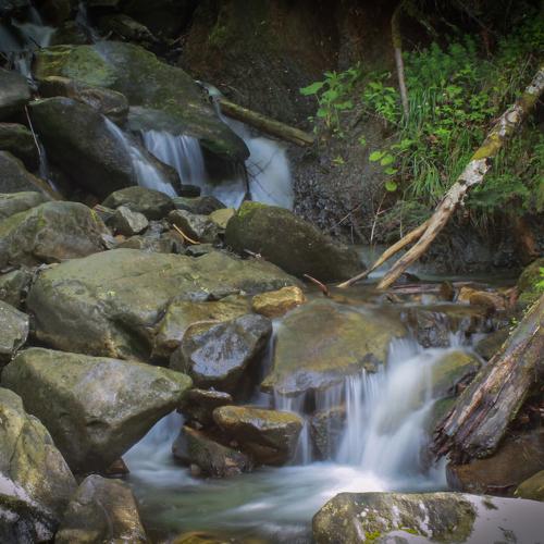Photo #3275041