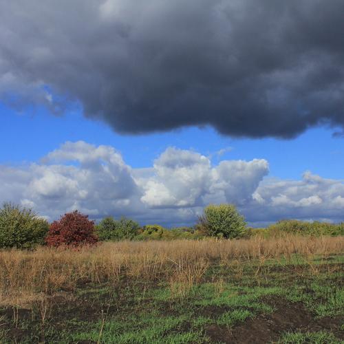 Photo #3275886
