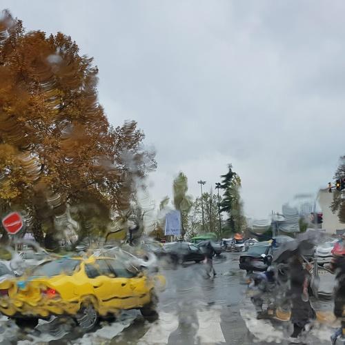 Rainy day in taxi