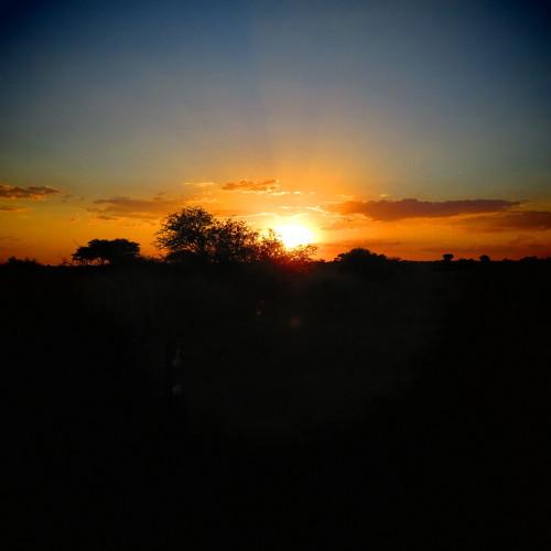 Last light in South African bushveld