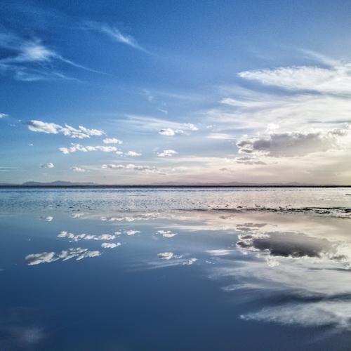 Photo #3276885