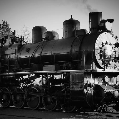 Photo #3276919