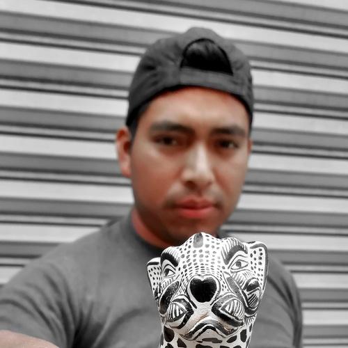 El gatito