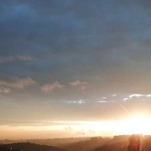 Photo #3277325