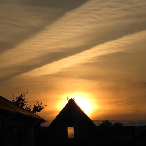 Photo #3277747