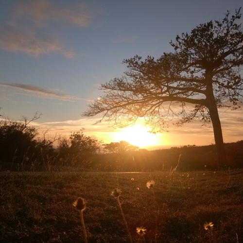 Capturing the scenic sunset