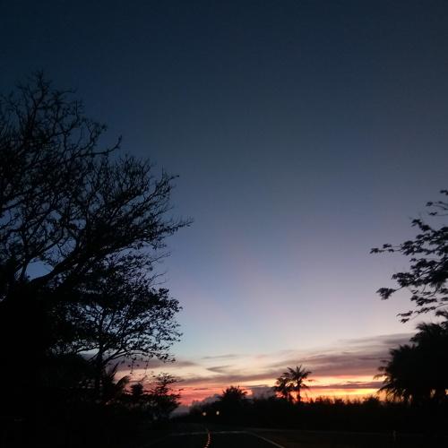Appreciating the beauty of Nature