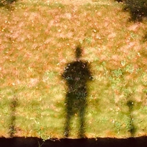 Сны о чем-то большем