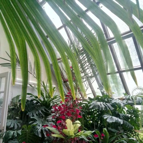 Photo #3277938