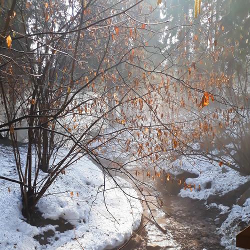 Photo #3278250