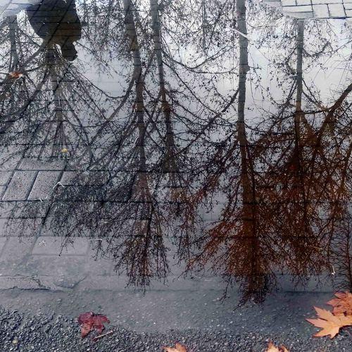 Photo #3278363