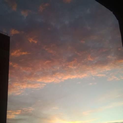 Photo #3279163