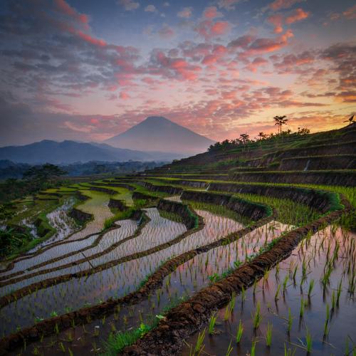 beautiful sunrise