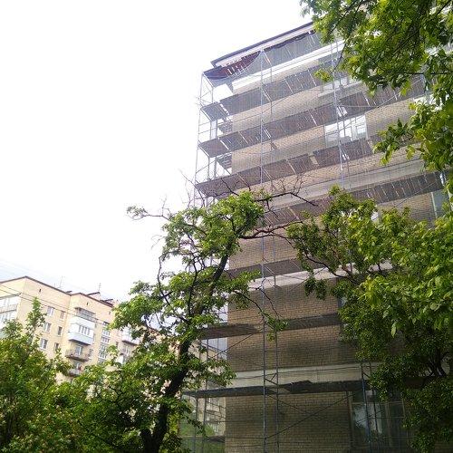 Photo #3279187
