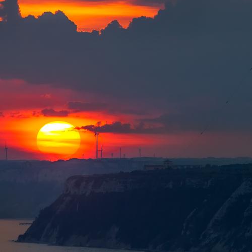 Photo #3279188